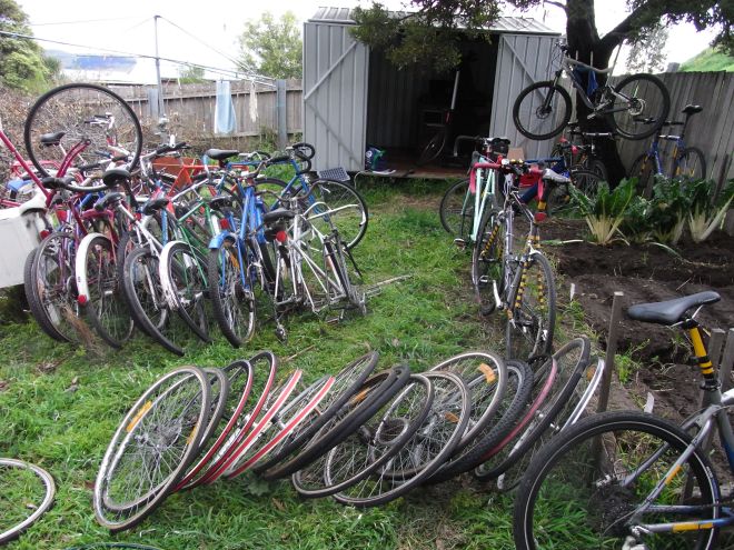 Backyard of Bicycles