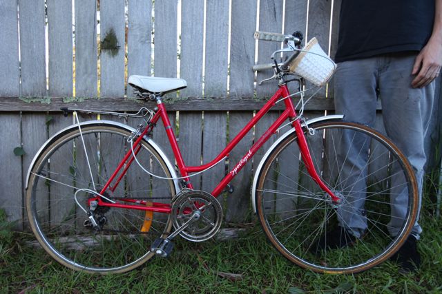 Our celebrity ladies red 12spd