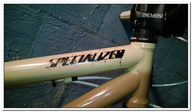 Specialized, Truativ, Cane Creek quality gear