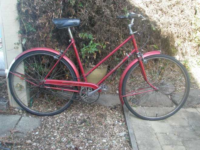 OLYMPUS DIGITAL CAMERA