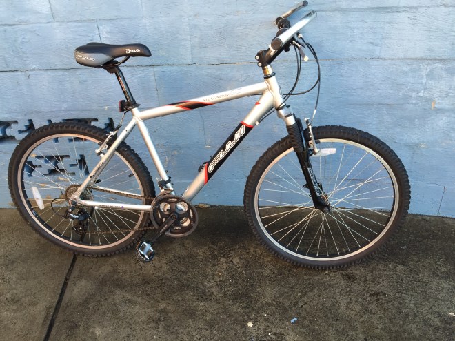 Fuji MTB alloy large frame